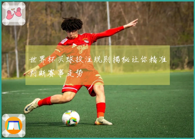 世界杯买球投注规则揭秘让你精准判断赛事走势