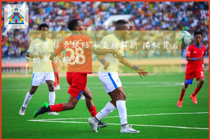 世界杯买球赔率变动解析 揭秘背后的市场趋势