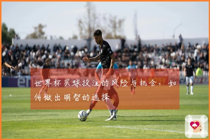 世界杯买球投注的风险与机会，如何做出明智的选择