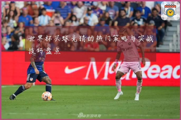 世界杯买球竞猜的热门策略与实战技巧盘点