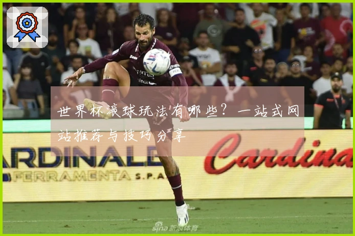 世界杯滚球玩法有哪些？一站式网站推荐与技巧分享
