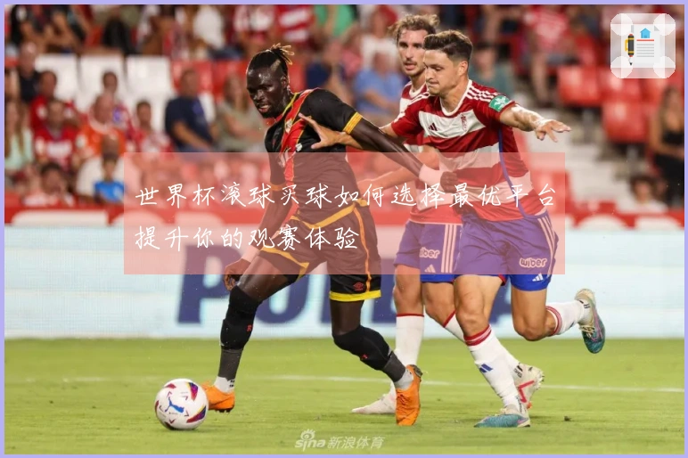 世界杯滚球买球如何选择最优平台提升你的观赛体验