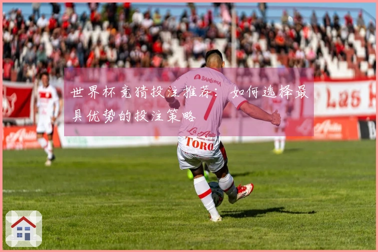 世界杯竞猜投注推荐：如何选择最具优势的投注策略