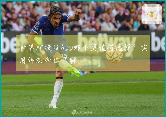 世界杯投注App哪个更值得选择？实用评测带你了解
