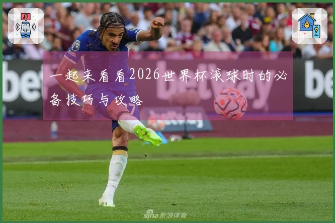 一起来看看2026世界杯滚球时的必备技巧与攻略