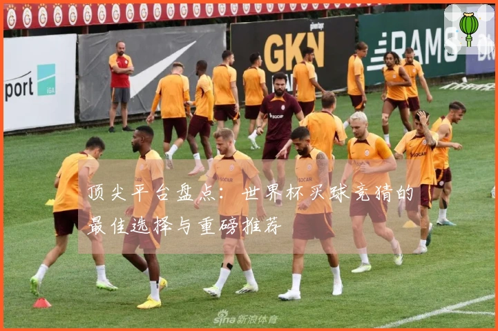 顶尖平台盘点：世界杯买球竞猜的最佳选择与重磅推荐