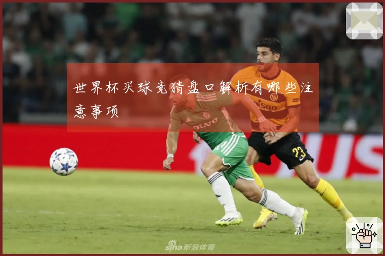 世界杯买球竞猜盘口解析有哪些注意事项