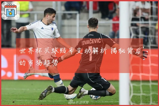 世界杯买球赔率变动解析 揭秘背后的市场趋势